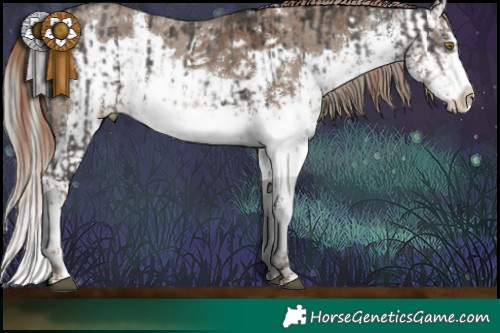 Horse Color:White Spotted Liver Chestnut Sabino Splash  and Liver Red Dun Sabino Splash 