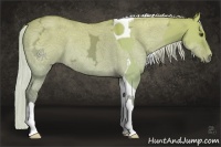 Horse Color:Silver Buckskin Dun Tobiano  and Silver Buckskin Ice Dun 