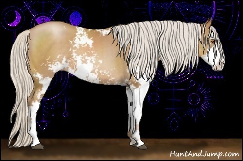 Horse Color:Silver Black Pearl Sabino