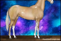 Horse Color:Silver Black Pearl Sabino 