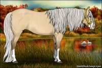 Horse Color:Silver Bay Roan Dun Splash Rabicano