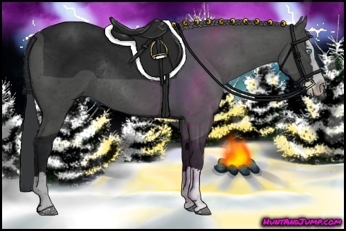 Horse Color:Black Sabino Splash Rabicano