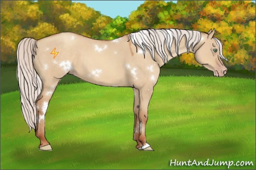 Horse Color:White Spotted Silver Sable Champagne Dun 