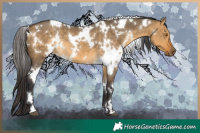 Horse Color:White Spotted Buckskin Dun 