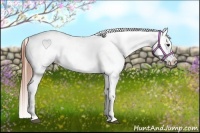 Horse Color:Bay Tobiano Near Leopard 