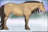 Horse Color:Amber Champagne Roan