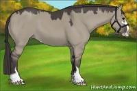 Horse Color:Smoky Grullo Sabino 
