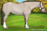 Horse Color:Classic Champagne Dun Rabicano