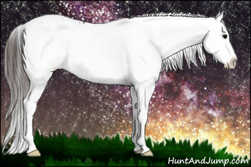 Horse Color:Brown Sabino Splash Near Leopard and Gray Brown Sabino Splash Near Leopard