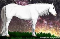 Horse Color:Brown Sabino Splash Near Leopard  and Gray Brown Sabino Splash Near Leopard 
