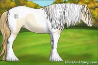 Horse Color:Smoky Black Pearl Tobiano