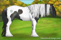 Horse Color:Black Tobiano 