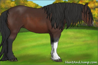 Horse Color:Brown 