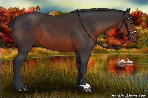 Horse Color:Brown 