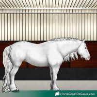 Horse Color:Silver Brown Sabino Splash Varnish  and Silver Brown Sabino Splash Varnish 