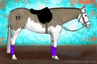 Horse Color:Smoky Grullo Sabino Splash Rabicano