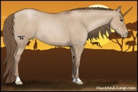 Horse Color:Grullo Pearl Rabicano