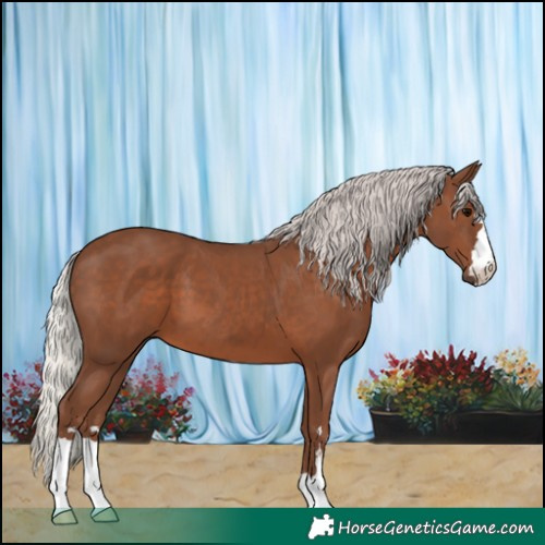Horse Color:Silver Black 