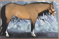 Horse Color:Brown Dun Sabino