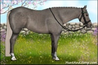 Horse Color:Silver Black 