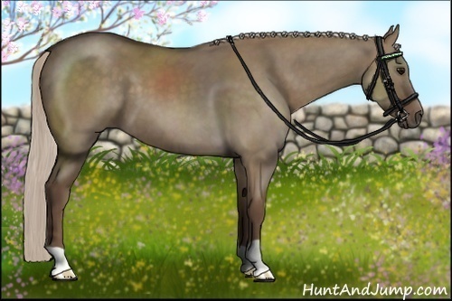Horse Color:Silver Grullo