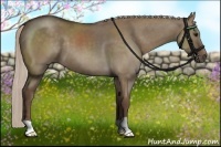 Horse Color:Silver Grullo 
