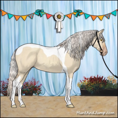 Horse Color:Silver Classic Champagne Dun Tobiano