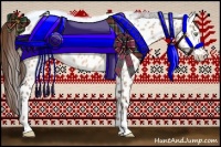 Horse Color:Amber Champagne Appaloosa 