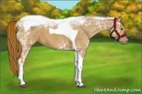 Horse Color:Chestnut Ice Tobiano