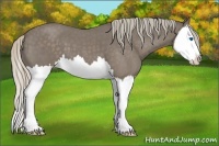 Horse Color:Silver Blue Roan Splash