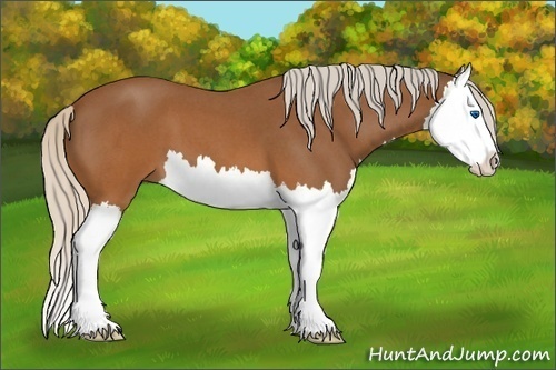 Horse Color:Silver Brown Roan Splash 