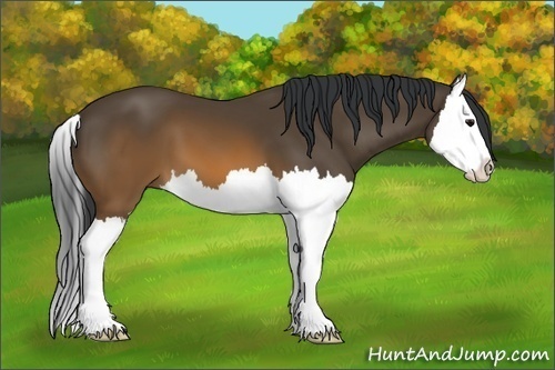 Horse Color:Brown Splash 