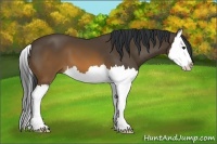 Horse Color:Brown Splash 