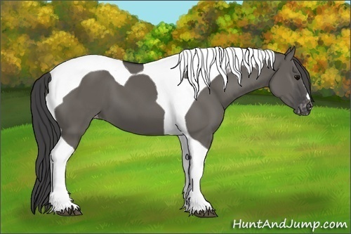 Horse Color:Grullo Tobiano Varnish 