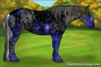 Horse Color:ERROR: UNKNOWN ANOMALY and ERROR: UNKNOWN ANOMALY