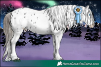 Horse Color:Silver Brown Onyx Sabino Splash Appaloosa  and Black Sabino Splash Appaloosa 