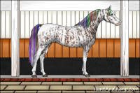 Horse Color:Painted Bay Sabino Splash Tobiano Blanket  and Gray Bay Sabino Splash Blanket 