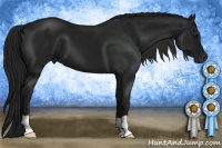 Horse Color:Gray Black 