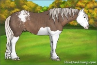 Horse Color:Silver Black Splash Varnish