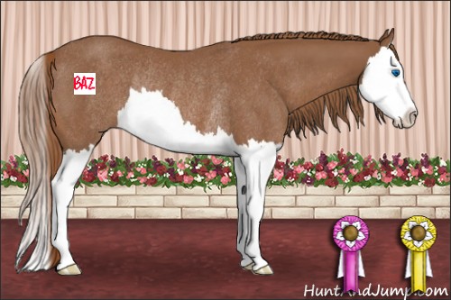 Horse Color:Chestnut Sabino Splash Rabicano 