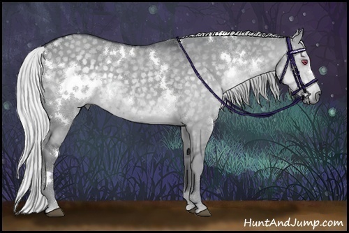 Horse Color:White Spotted Silver Grullo Chinchilla 