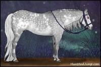 Horse Color:White Spotted Silver Grullo Chinchilla 