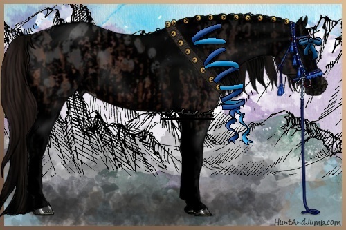 Horse Color:Void Brown Tobiano Appaloosa  and Void Brown Tobiano Appaloosa 