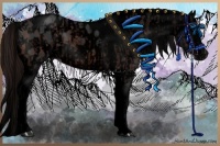 Horse Color:Void Brown Tobiano Appaloosa  and Void Brown Tobiano Appaloosa 