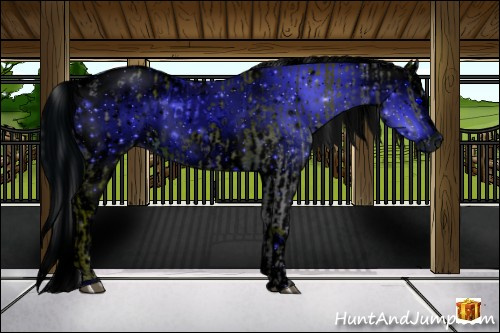 Horse Color:ERROR: UNKNOWN ANOMALY and ERROR: UNKNOWN ANOMALY