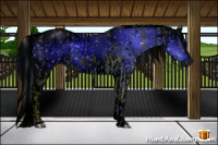 Horse Color:ERROR: UNKNOWN ANOMALY and ERROR: UNKNOWN ANOMALY