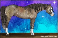 Horse Color:Liver Red Onyx Sabino Splash and Liver Red Dun Sabino Splash