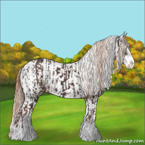 Horse Color:Liver Chestnut Sabino Splash Appaloosa  and Liver Chestnut Sabino Splash Appaloosa Rabicano 