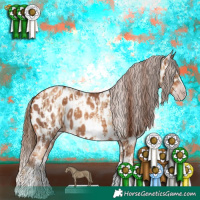 Horse Color:Gray Sable Cream Champagne Pearl Sabino Splash Near Leopard  and Gray Gold Champagne Sabino Splash Near Leopard 