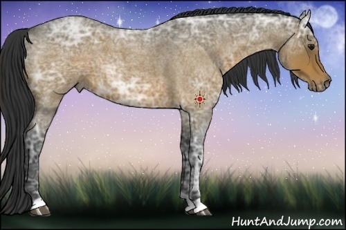 Horse Color:Brown Ice Roan 